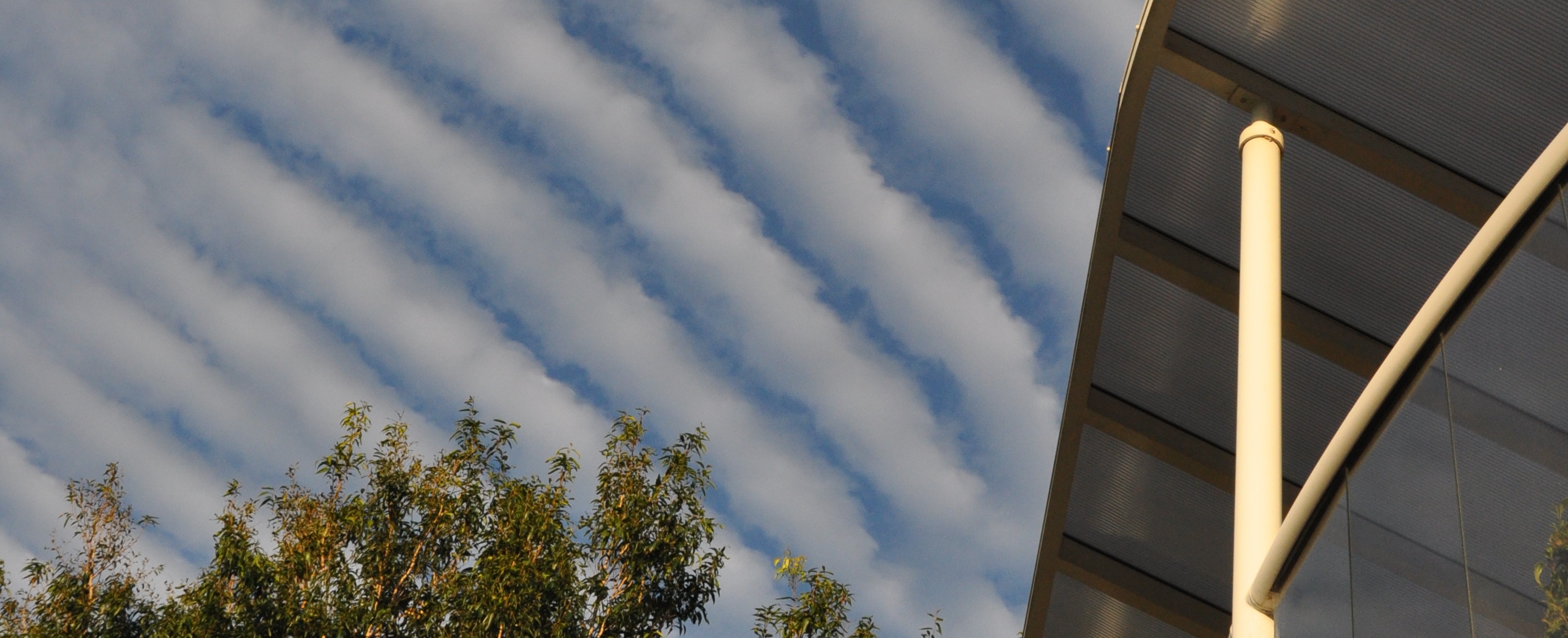 Do you know you have options?